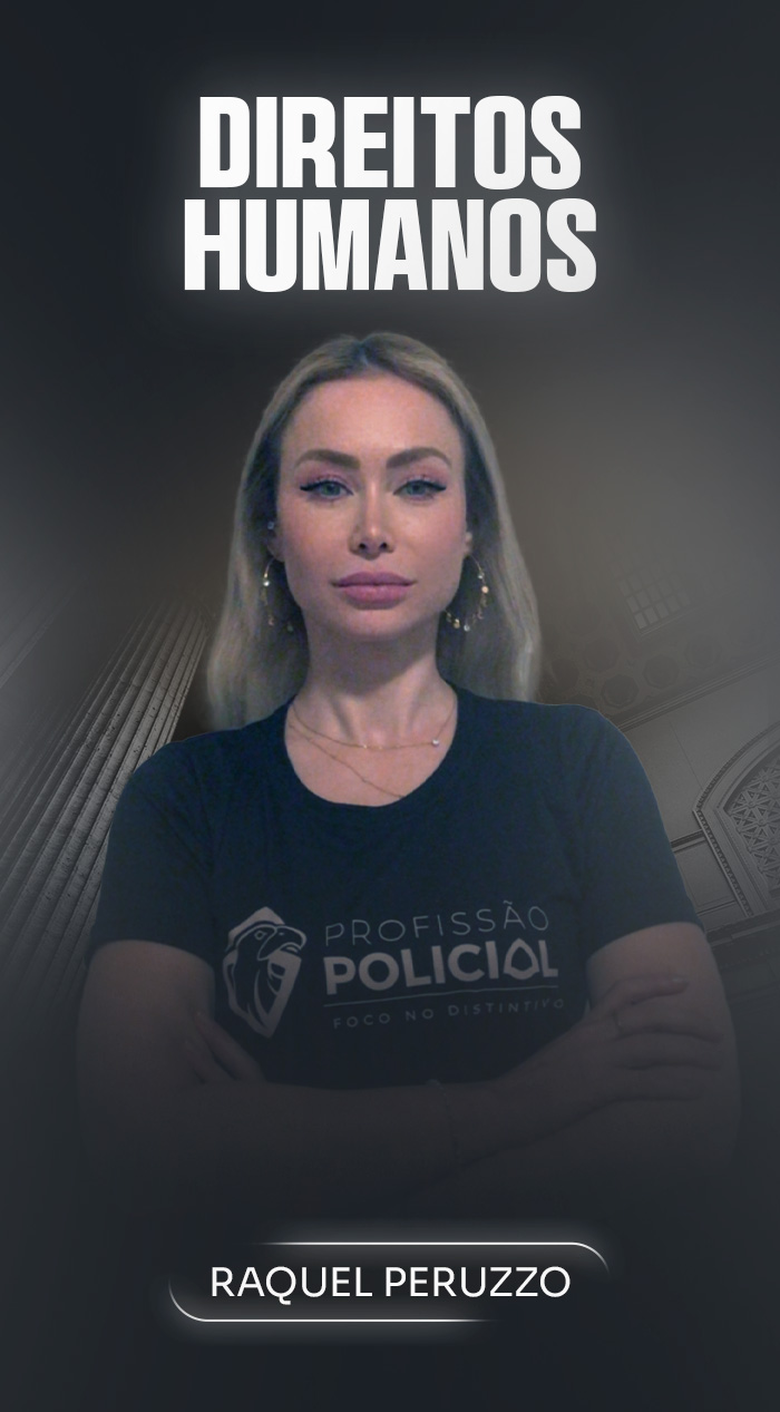 Curso Direitos humanos